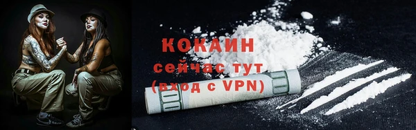 шишки Армянск