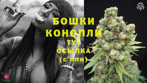 шишки Армянск