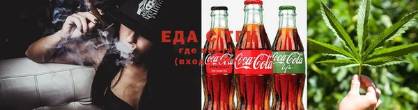 индика Сатка