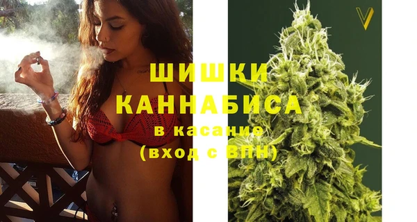 шишки Армянск