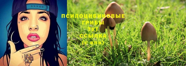 круглые Арсеньев
