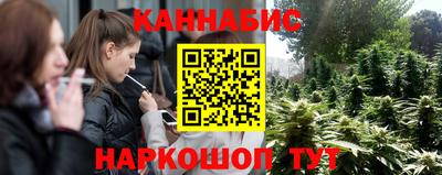стаф Будённовск
