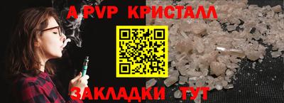 стаф Будённовск