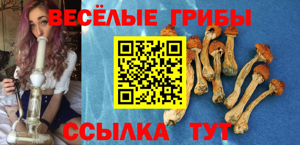 Галлюциногенные грибы MAGIC MUSHROOMS  Галлюциногенные грибы Psilocybe  Вход с VPN  Асбест 
