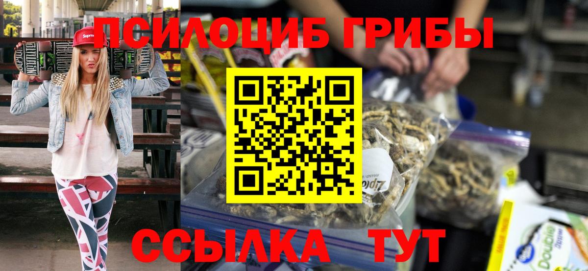Псилоцибиновые грибы Cubensis Асбест